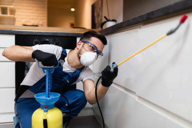 Best Affordable Pest Control Services  in Vega, TX