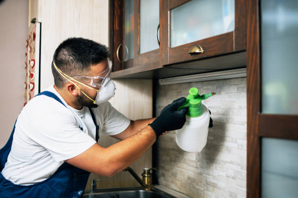 Trusted Vega, TX Pest Control Experts