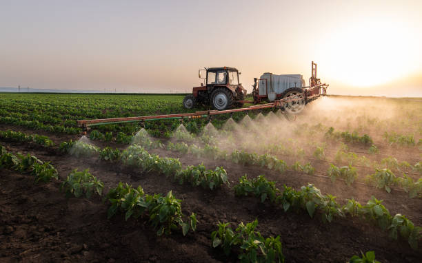 Best Best Pest Control Companies  in Vega, TX