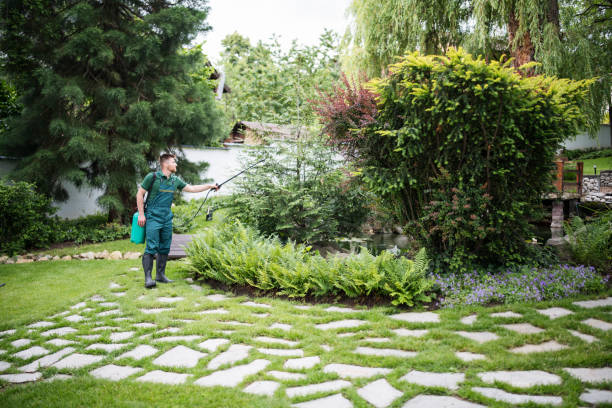 Best Pest Prevention Services  in Vega, TX