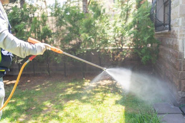 Best Emergency Pest Control  in Vega, TX