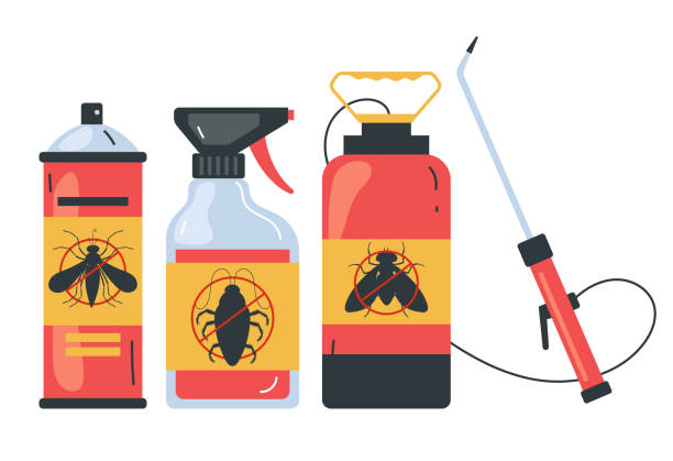 Best Bed Bug Extermination  in Vega, TX