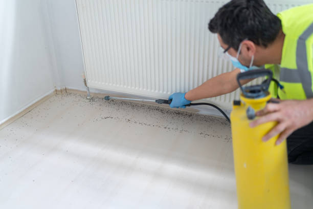 Best Best Pest Control Near Me  in Vega, TX
